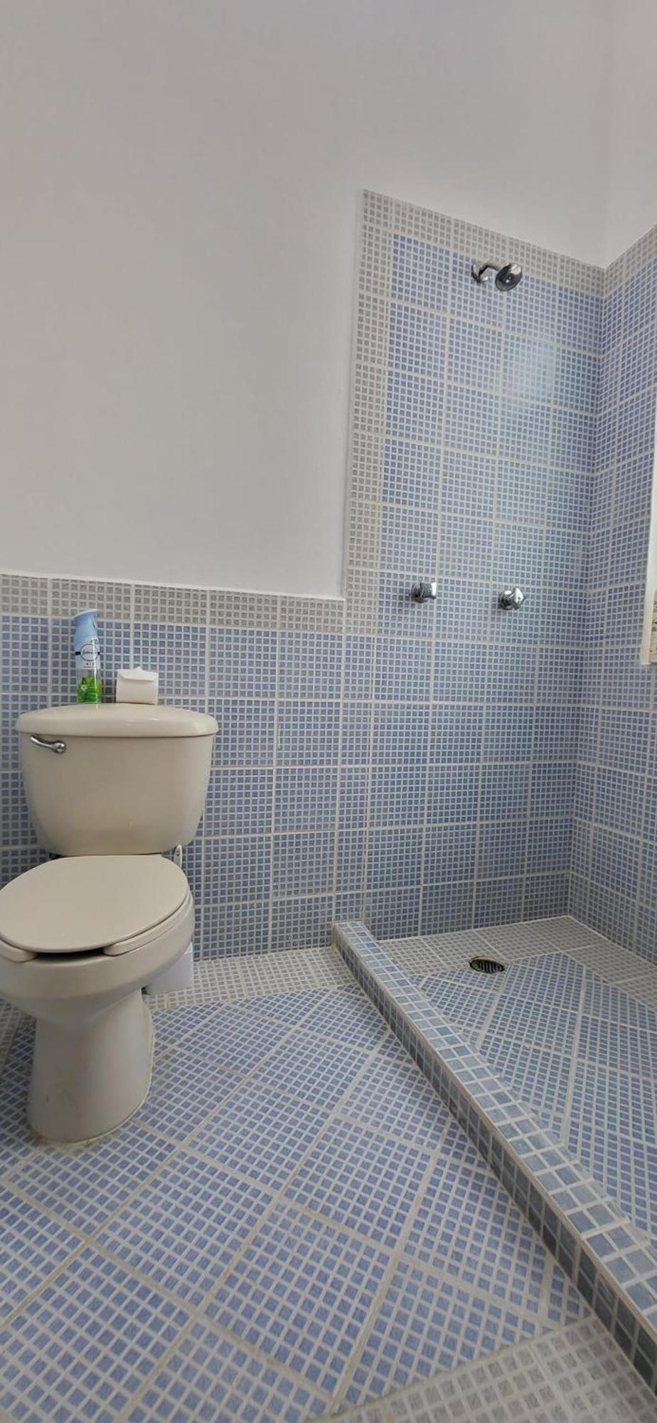Villa Martha Garza Blanca - Private Heated Pool بويرتو فالارتا المظهر الخارجي الصورة